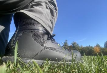 Shoe on lawn